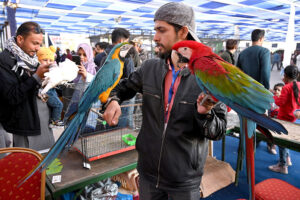 Visitors take keen interest in birds during visits to various stalls at the Livestock Expo 2025, organized by the Livestock & Fisheries Department at the Expo Centre