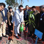 Chairman Pakistan People’s Party, Bilawal Bhutto Zardari plants a tree during the 28th annual Convocation ceremony of Mehran University of Engineering and Technology Jamshoro