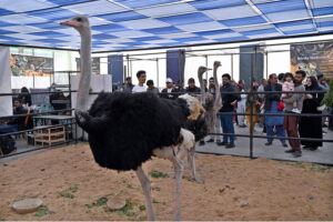 People take interest during visits various stalls at the Livestock Expo 2025, organized by the Livestock & Fisheries Department at the Expo Centre