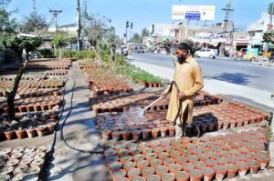 A gardeners watering flowers and plants at a plant nursery in the city.