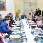 Prime Minister Muhammad Shehbaz Sharif chairs a review meeting regarding the Pakistan Polio Eradication Programme