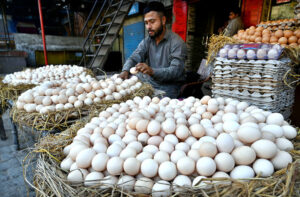 A vendor arranging and displaying the Brown eggs (Desi Eggs) to attract the customer outside their shop at local market in the Provincial Capital.