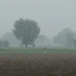 Rain forecast for Bahawalpur