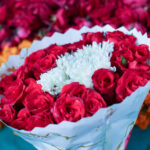 Pakistan’s new rose variety promises farmers up to Rs1.5m per acre in profits