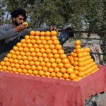 A vendor displaying orange to attract the customer at Latifabad