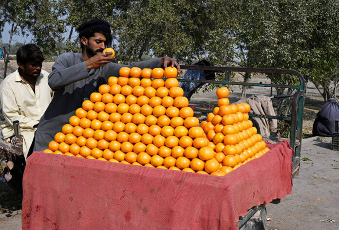 A vendor displaying orange to attract the customer at Latifabad