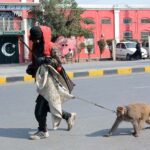A man with his monkey on the way, hoping to earn a living and support his family