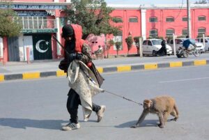 A man with his monkey on the way, hoping to earn a living and support his family