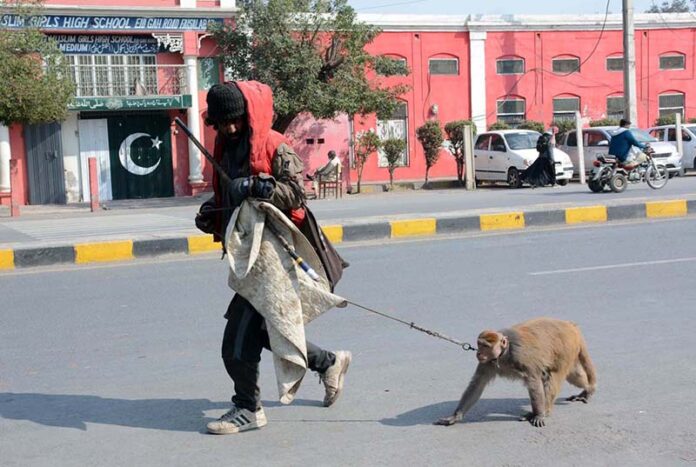 A man with his monkey on the way, hoping to earn a living and support his family