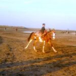 A boy enjoy horse riding along the banks of the River Chenab