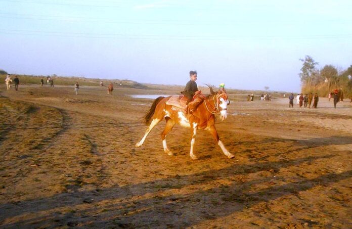 A boy enjoy horse riding along the banks of the River Chenab