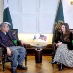 Federal Interior Minister Mohsin Naqvi in a meeting with Acting US Ambassador Natalie Baker