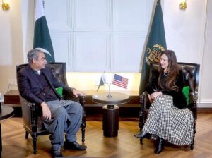 Federal Interior Minister Mohsin Naqvi in a meeting with Acting US Ambassador Natalie Baker