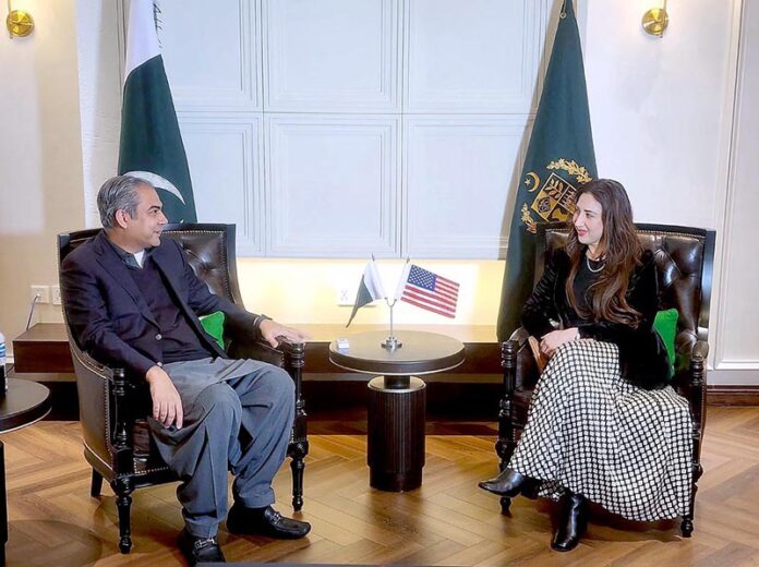 Federal Interior Minister Mohsin Naqvi in a meeting with Acting US Ambassador Natalie Baker