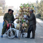 A customer is purchasing Bird nests from the roadside vendor at Masoom Shah Road