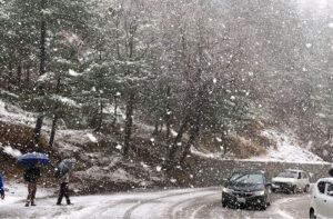 A beautiful view of road covered with snow during a heavy morning snowfall in the city.