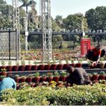 PHA staff hard at work, ensuring Jillani Park is a floral paradise for the Spring Extravaganza