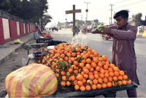 A vendor sprinkles water on seasonal oranges to keep them fresh and attract customers