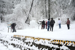 People enjoying in the snow as in the background trees covered with snow during heavy snowfall in the city during morning time.