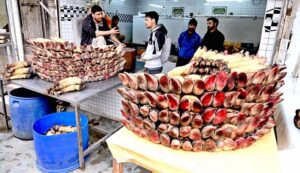 A vendor displaying paya (animal feet) to attract the customers at his shop in Banni Market.