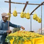 A vendor arranging and displaying traditional fruit (Ber) to attract customers at Old Shujabad Road
