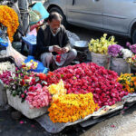 An elderly vendor preparing garlands of fresh flowers to attract the customers at roadside