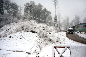People enjoying in the snow as in the background trees covered with snow during heavy snowfall in the city during morning time.