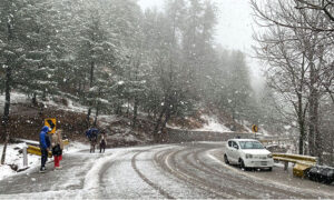 People enjoying in the snow as in the background trees covered with snow during heavy snowfall in the city during morning time.
