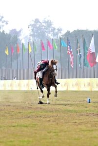 Horse rider participating in tent pegging competition during the Horse and Cattle Show at Benin Tree Pole Ground under the supervision of PHA.