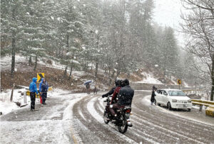 People enjoying in the snow as in the background trees covered with snow during heavy snowfall in the city during morning time.