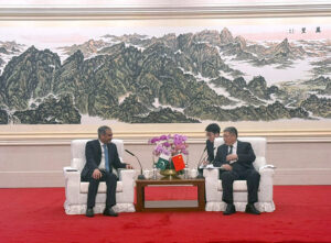 Federal Minister for Interior Mohsin Naqvi in a meeting with his Chinese counterpart Qi Yanjun