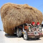 A view of over loaded tractor trolley at Bypass Road creating hurdles in the smooth flow of traffic may cause any mishap to needs the attention of concerned authorities in the city