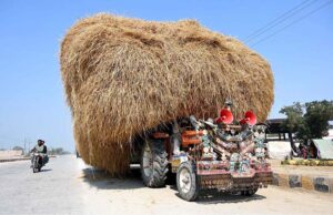 A view of over loaded tractor trolley at Bypass Road creating hurdles in the smooth flow of traffic may cause any mishap to needs the attention of concerned authorities in the city