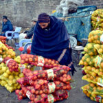 Vendors display fresh Oranges to attract customers at the Fruit Market