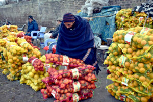 Vendors display fresh Oranges to attract customers at the Fruit Market