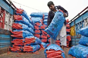A labourer busy in off load fresh carrots from a delivery truck at vegetable market.