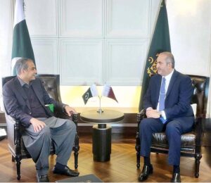 Interior Minister Mohsin Naqvi in a meeting with Ambassador of Qatar Ali Mubarak Ali Essa Al-Khater.