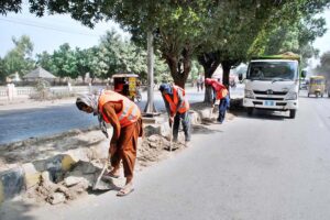 Highway Department workers are cleaning green belt on Hasilpur Main road.