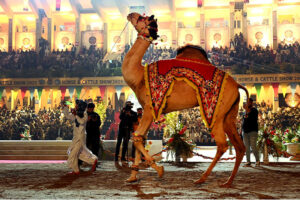 Participants showcase various performances during the inaugural ceremony of the National Horse and Cattle Show 2025 at Fortress Stadium