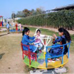 Children enjoying swing on a cradle at a local park