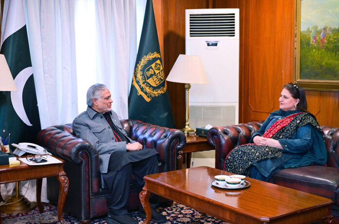 Chairperson BISP, Rubina Khalid, called on Deputy Prime Minister and Foreign Minister, Senator Mohammad Ishaq Dar