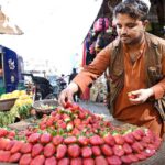 Vendor selling and displaying strawberries to attract the customers at Sadar area