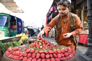 Vendor selling and displaying strawberries to attract the customers at Sadar area