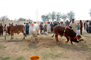 Brig Retd Muhammad Sajid Khokhar Chairperson TEVTA cutting the ribbon to inaugurate Kisan Mela at Govt Pak German Polytechnic Institute for Agriculture Technology, Chak 5 Faiz.