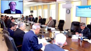 Federal Minister for Finance and Revenue Senator Muhammad Aurangzeb virtually chairing a meeting of the Cabinet Committee on State-Owned Enterprises (CCoSOEs) at the Finance Division.