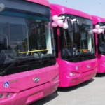 Govt plans expansion of Pink Bus Service to facilitate more women commuters in capital
