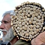 An aged vendor sells Miswak, the natural toothbrush at roadside