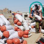 Labourers are busy unloading onion Bags from the delivery truck