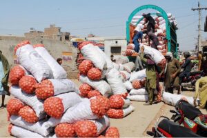 Labourers are busy unloading onion Bags from the delivery truck