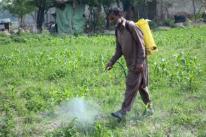 Farmer spraying pesticide in his field